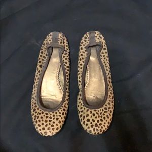 Jcrew Cheetah Print Calf Hair Flats